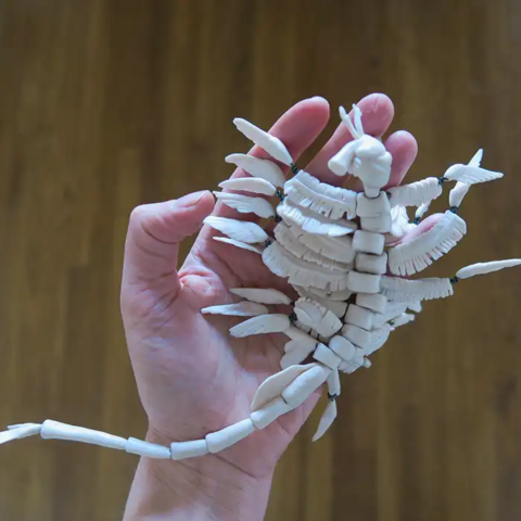 Artemia Franciscana. Porcelain and wire.